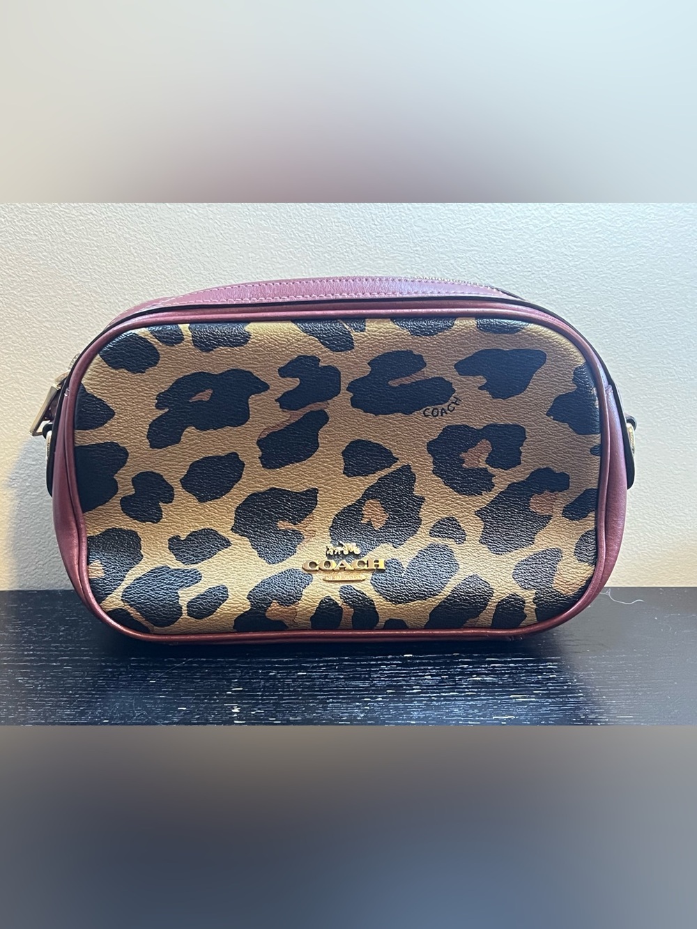 Coach Isla Chain Crossbody Signature Canvas with Leopard Print